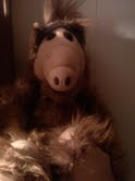 ALF Doll 2.jpg