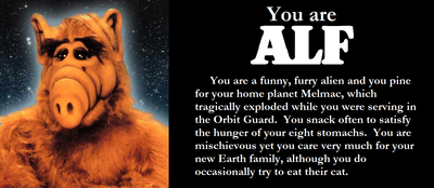 You are ALF